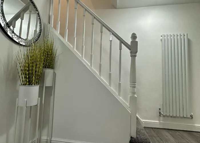 招待所 Marvellous Single